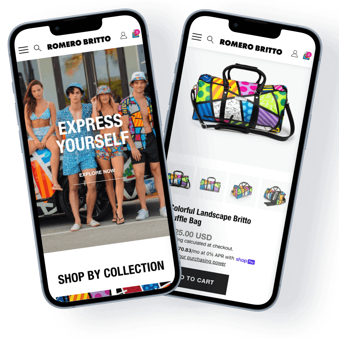 Project 2 Romero Britto Shopify